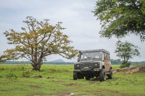 Off Road Vehicle on Green Grass Field