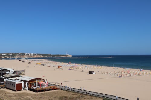 Sea Beach against a Clear Sky