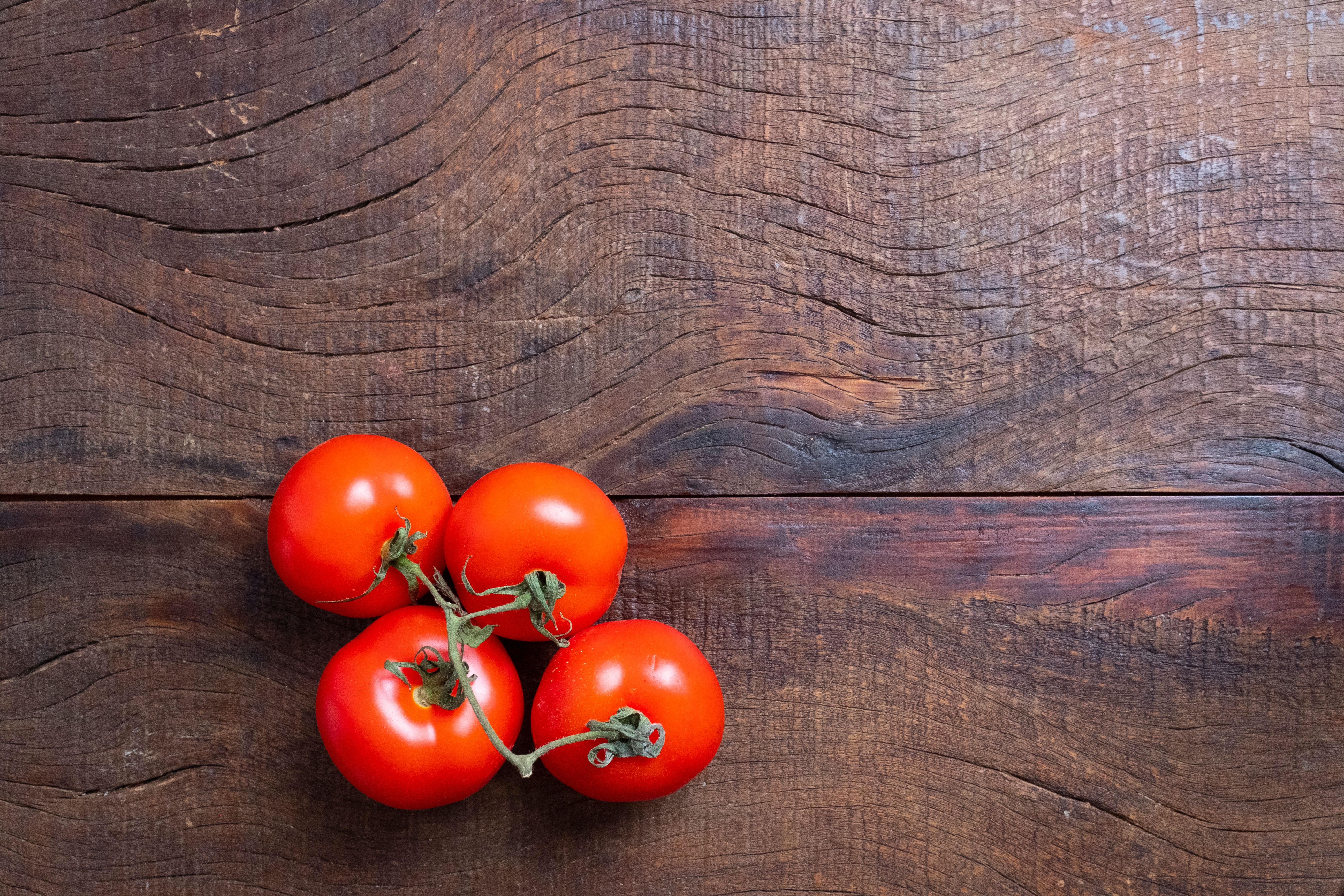 Rotten Tomatoes Awards: Best Movies &amp; TV Winners 2025 — Photo by Daniel Reche on Pexels