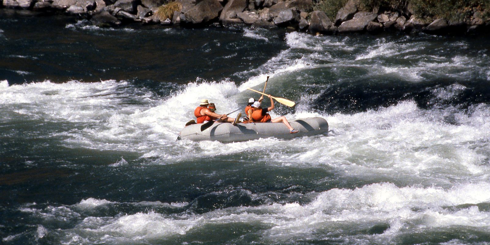 Whitewater rafting on a scenic forested river