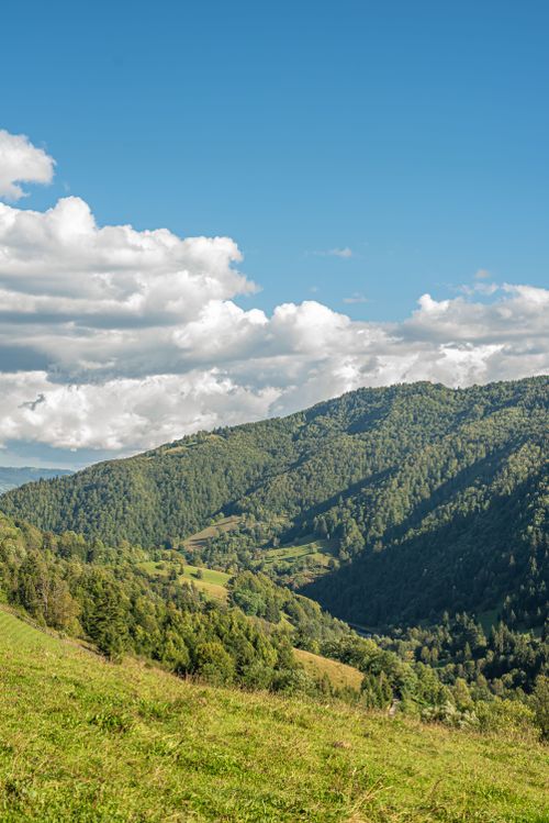 Free A peaceful view of green hills and forests under a blue sky with fluffy clouds. Stock Photo