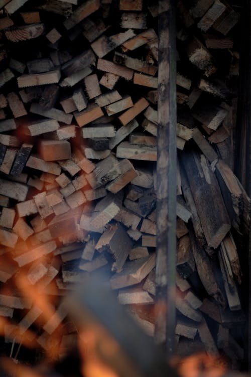 Gratis stockfoto met bonfire, brandhout, gehakt hout