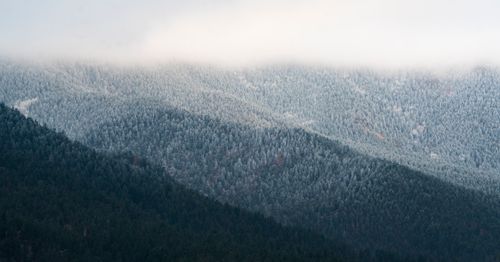 Free A stunning aerial view of misty forest and mountain landscape in Colorado Springs. Stock Photo