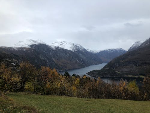 Green Trees Near Snow Covered Mountain