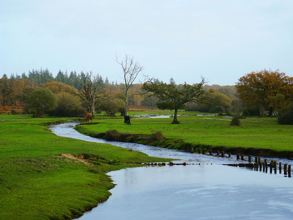 3 Day Advanced Yoga & Wellbeing Retreat in England 2
