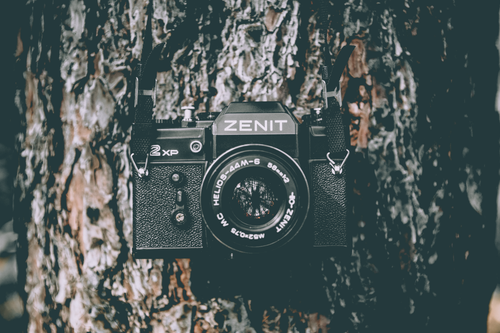 Free Close-up of a Zenit camera hanging on a tree trunk, outdoors in Poland, highlighting vintage photography equipment. Stock Photo