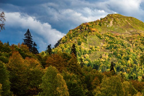 Ücretsiz ağaçlar, dağ, doğa içeren Ücretsiz stok fotoğraf Stok Fotoğraflar
