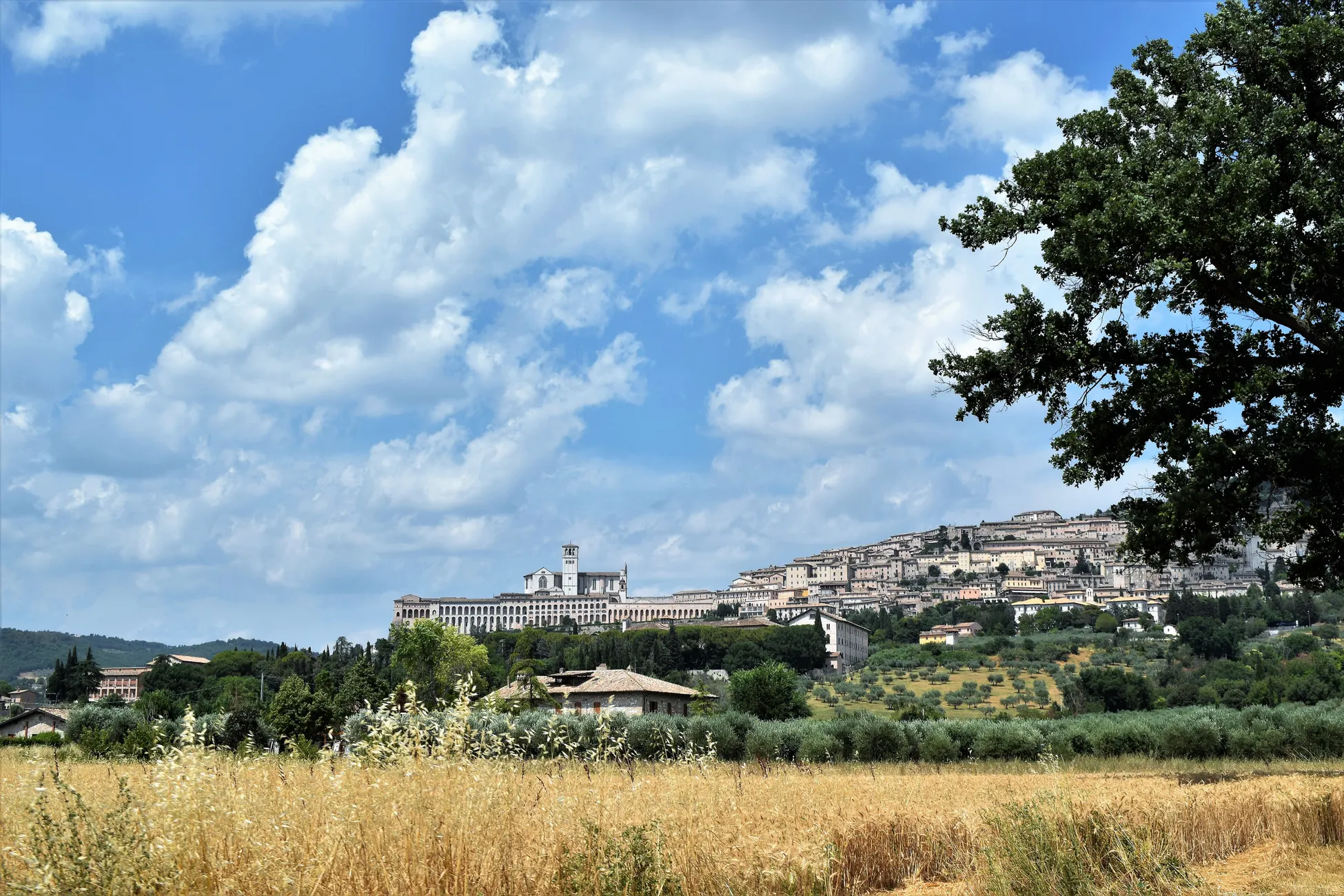 Erasmus en Perugia