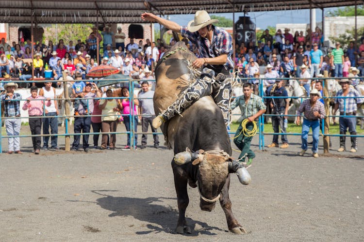 A Man Riding A Bull