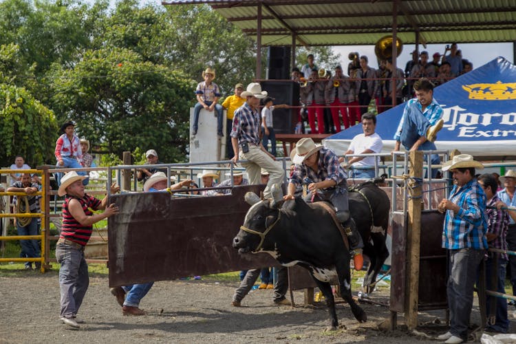 A Man Riding A Bull