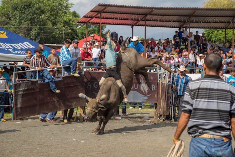 A Man Riding A Bull