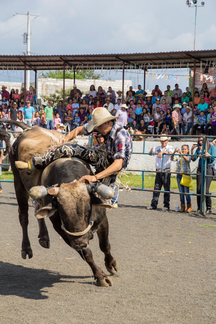 A Man Riding A Bull