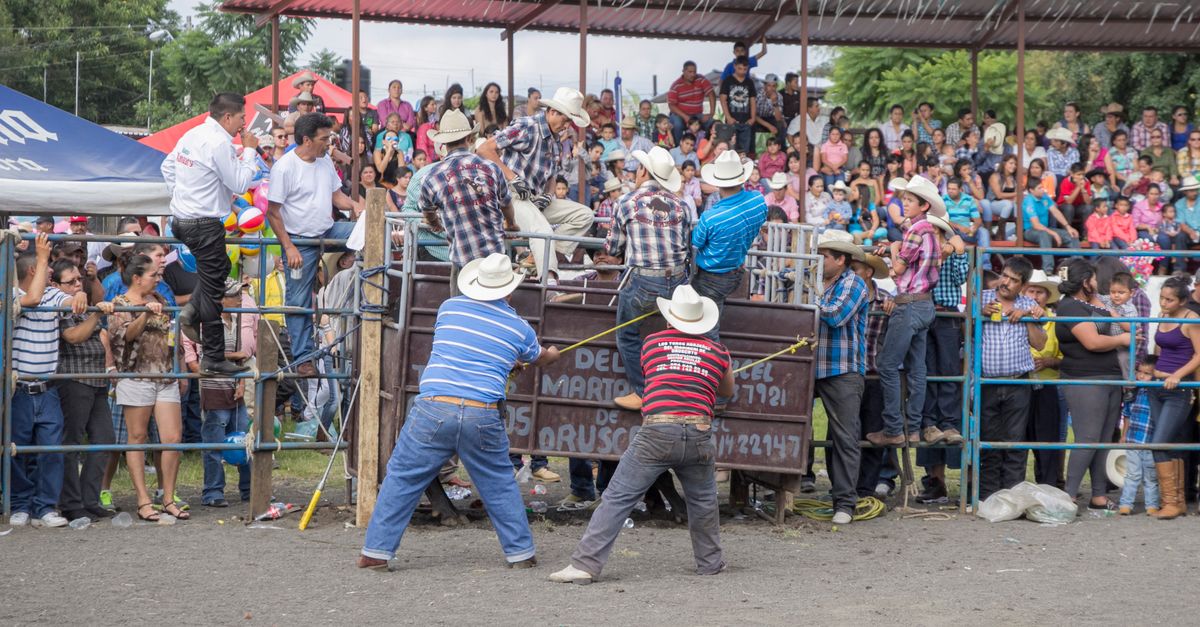 Two Nights, One Arena: What to Expect from Wylie's Championship Rodeo This September