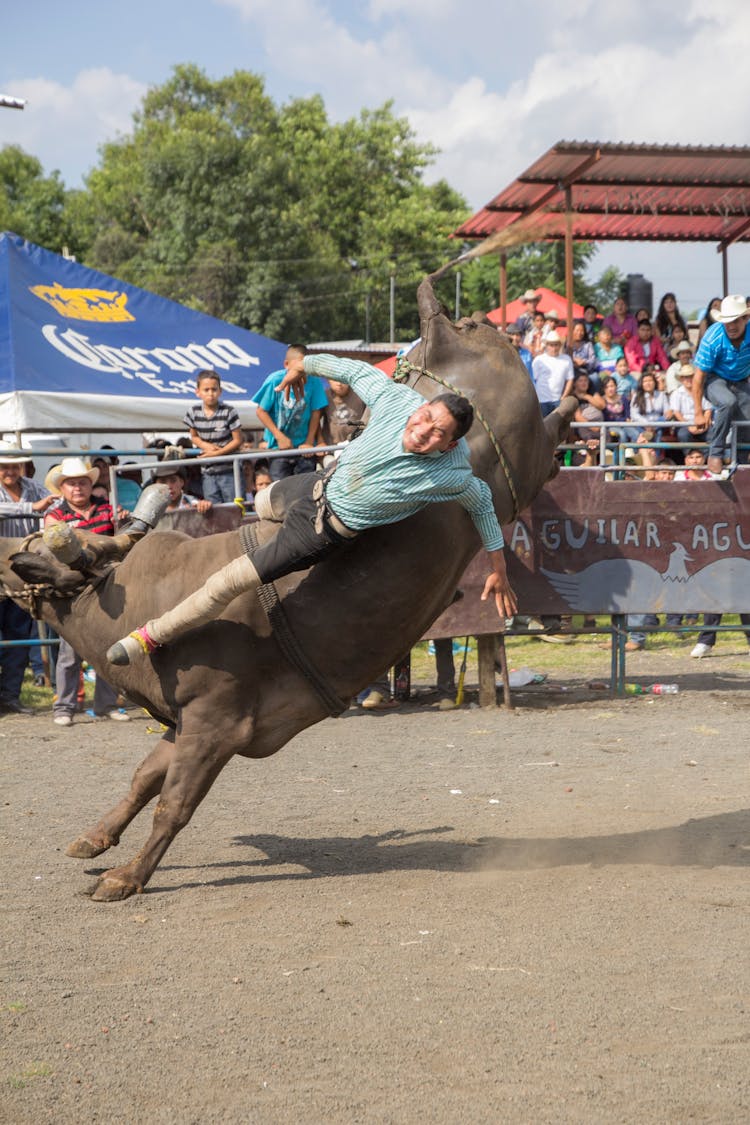 A Man Riding A Brown Bull