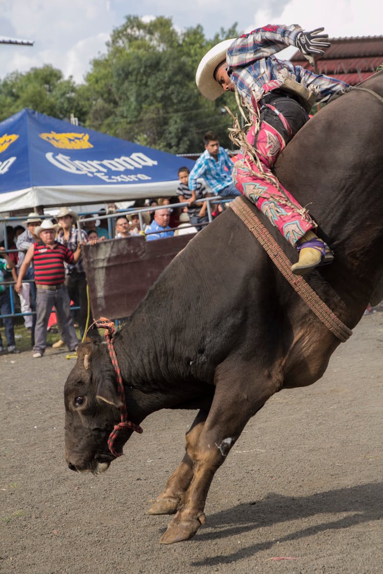 A Man Riding A Bull