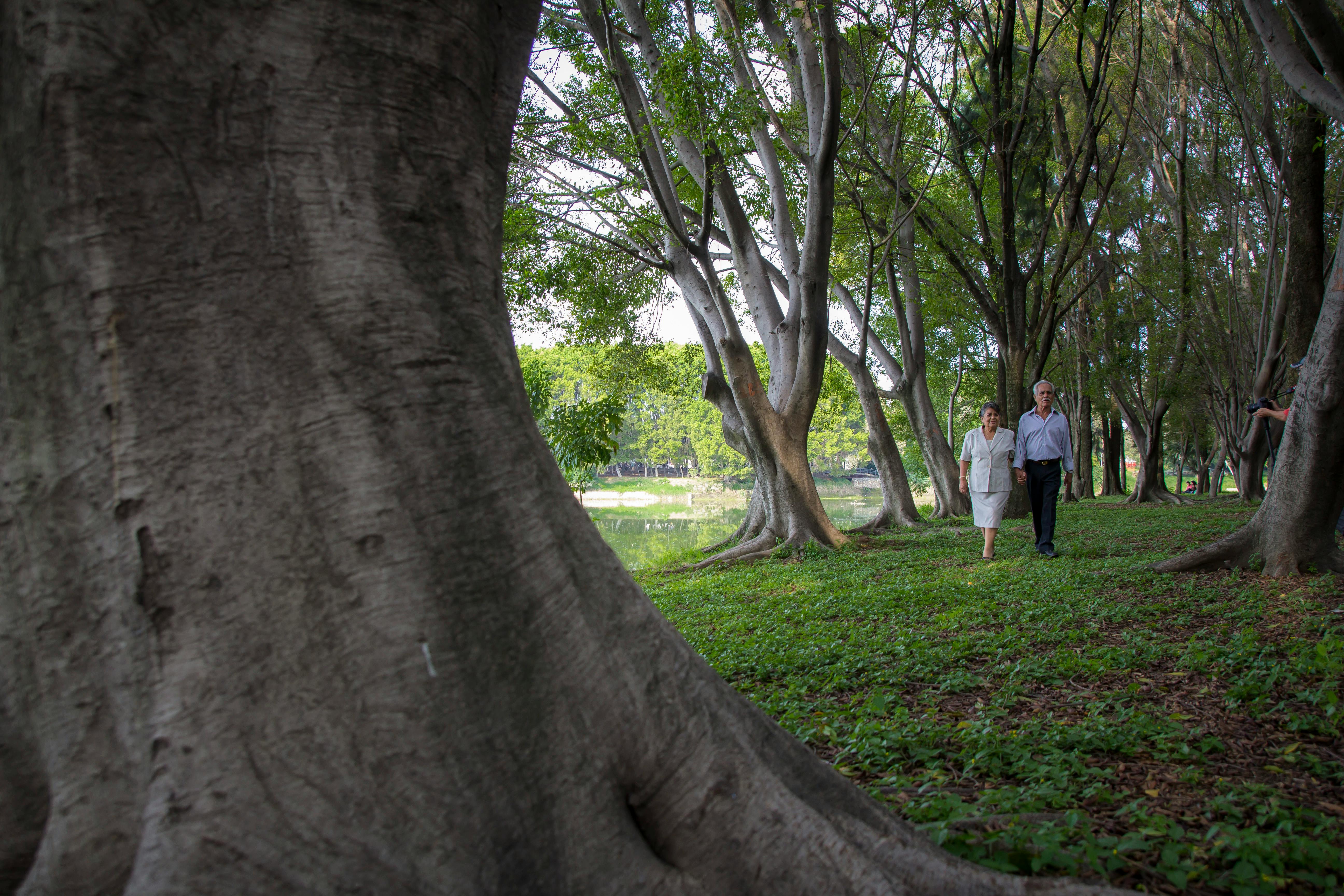 A Man and Woman Walking Under the Trees · Free Stock Photo