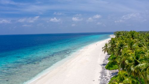 Free Scenic aerial view of a tropical beach with turquoise sea and lush palm trees. Stock Photo