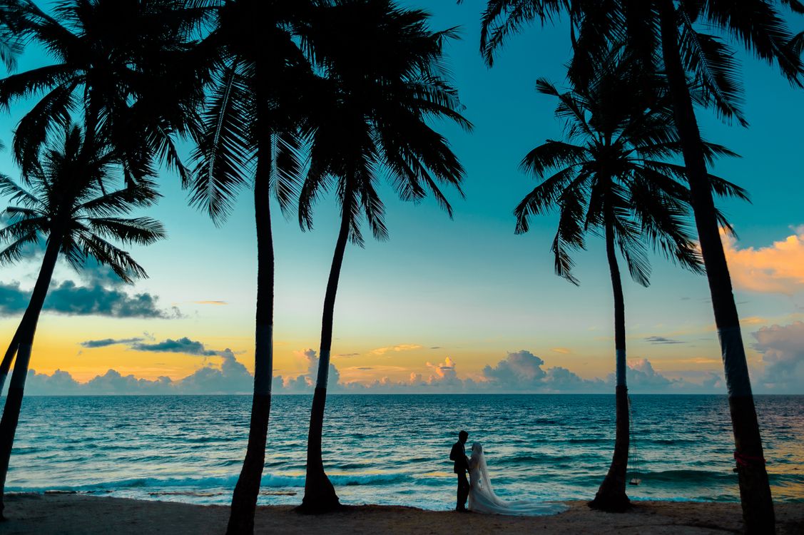 Wedding invitation palm-sunset