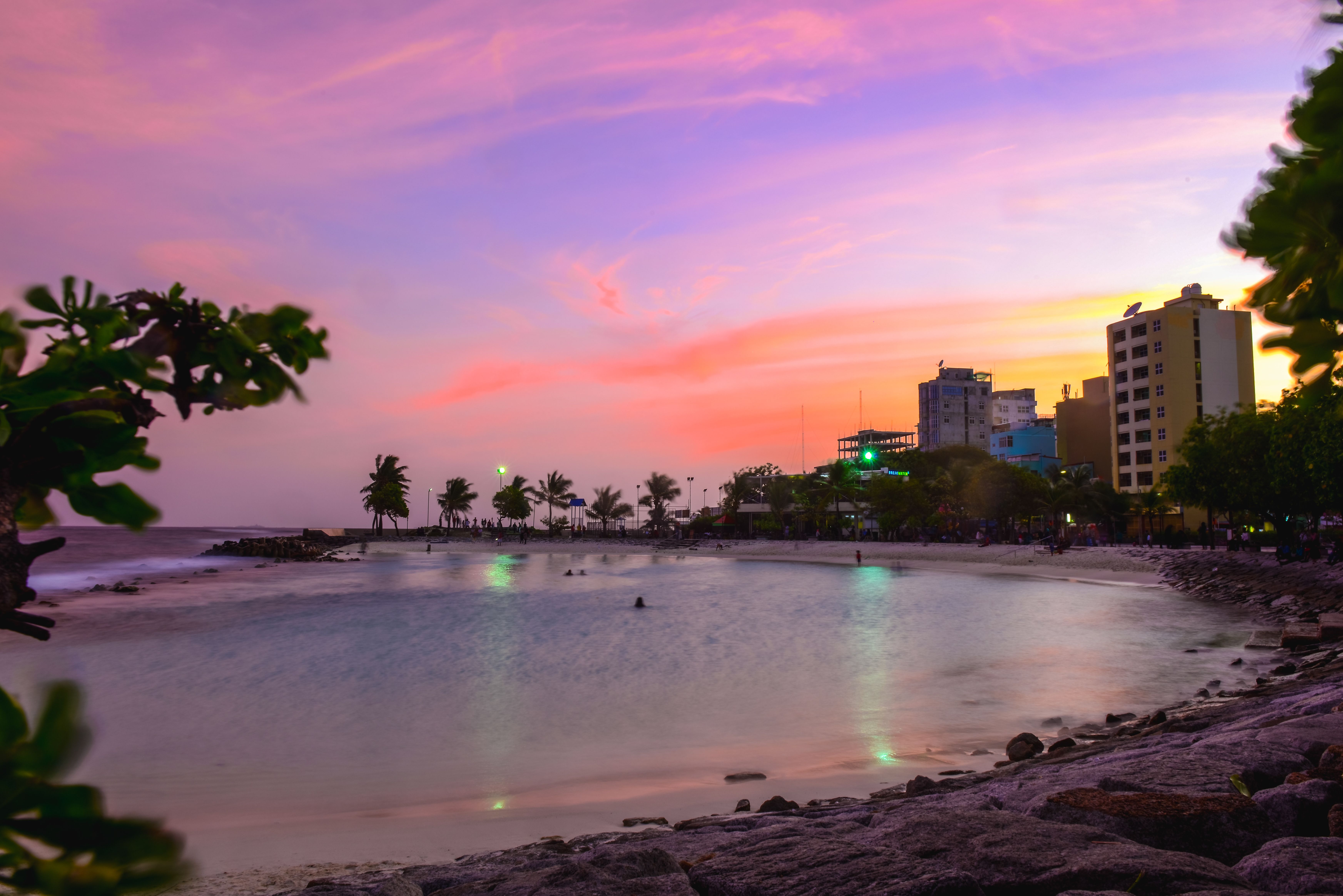 Peaceful seashore landscape at twilight with colorful sky and palm trees.