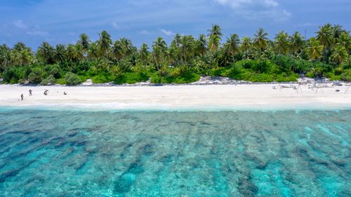 Free A stunning aerial view of a tropical beach featuring coconut trees, white sand, and turquoise water. Stock Photo
