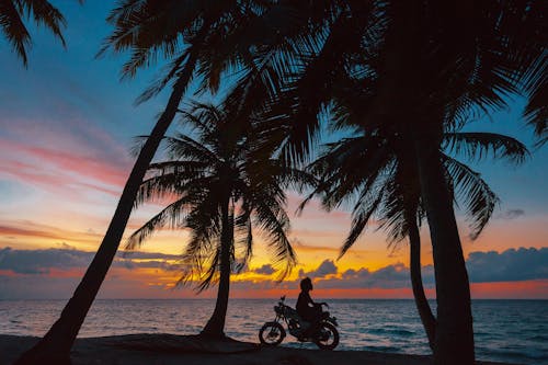 Silhouette of Man Sitting on His Motorcycle Near Palm Trees during Sunset