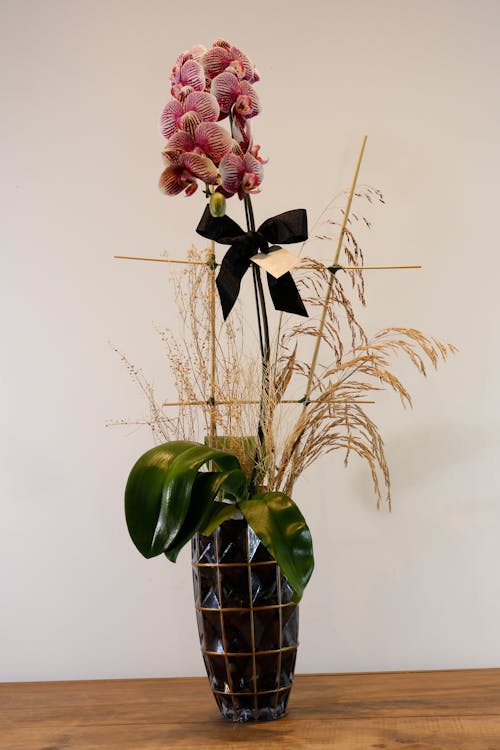 Foto d'estoc gratuïta de flor, flors, orquídia