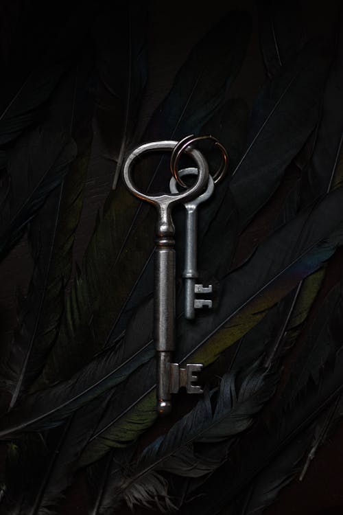 Free Keys on Feathers  Stock Photo