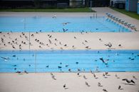 People in Swimming Pool