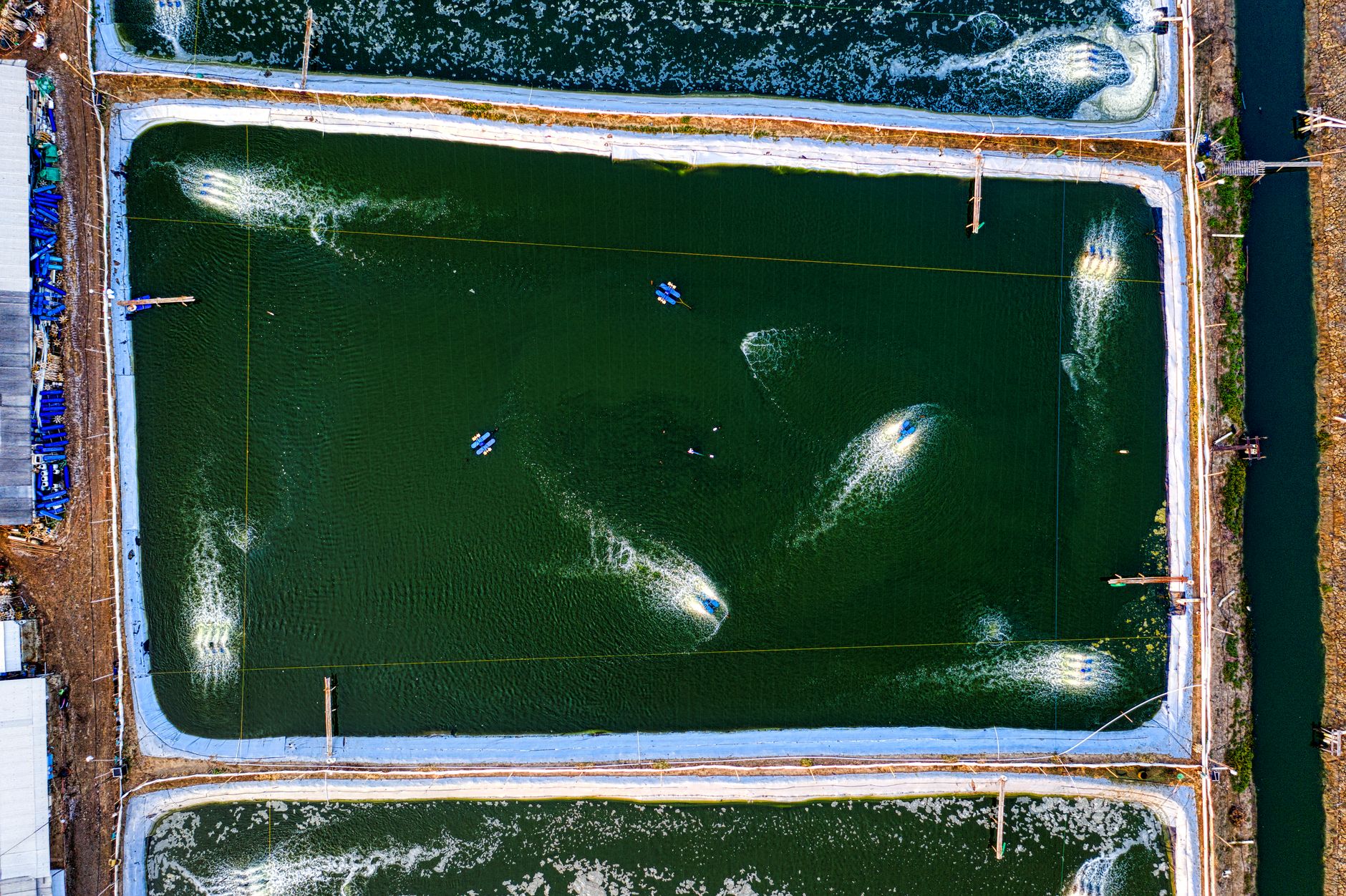 Artificial ponds with swimming fish on farm