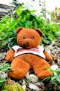 Plush bear in sweater with American flag ornament against lush green leaves on stones in town