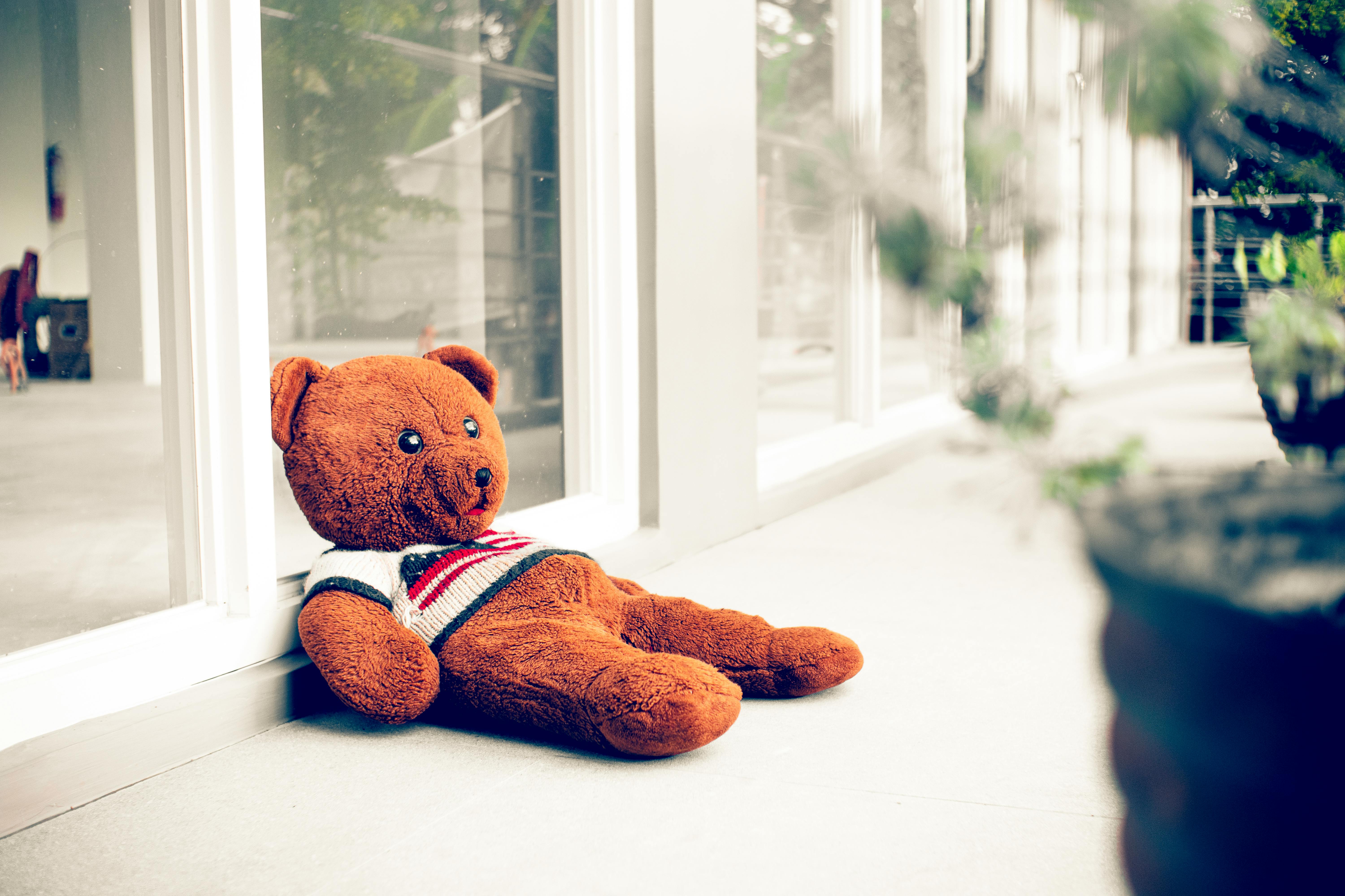 What color flag means sharks?