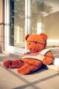 Soft bear in sweater with USA flag ornament outdoors