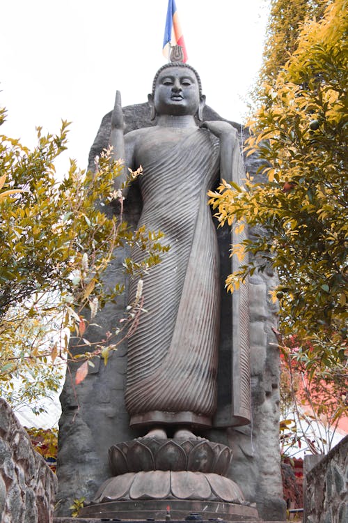 Low Angle Shot of Avukana Buddha Statue