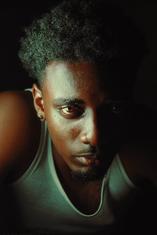 Fotos de stock gratuitas de cabello afro, de cerca, expresión facial