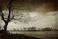 在多云的天空映衬下，港口呈现出戏剧性的单色景观，起重机的轮廓格外分明