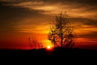 在充满活力的日落天空映衬下，树木的剪影与宁静的风景共同捕捉到了大自然的美丽