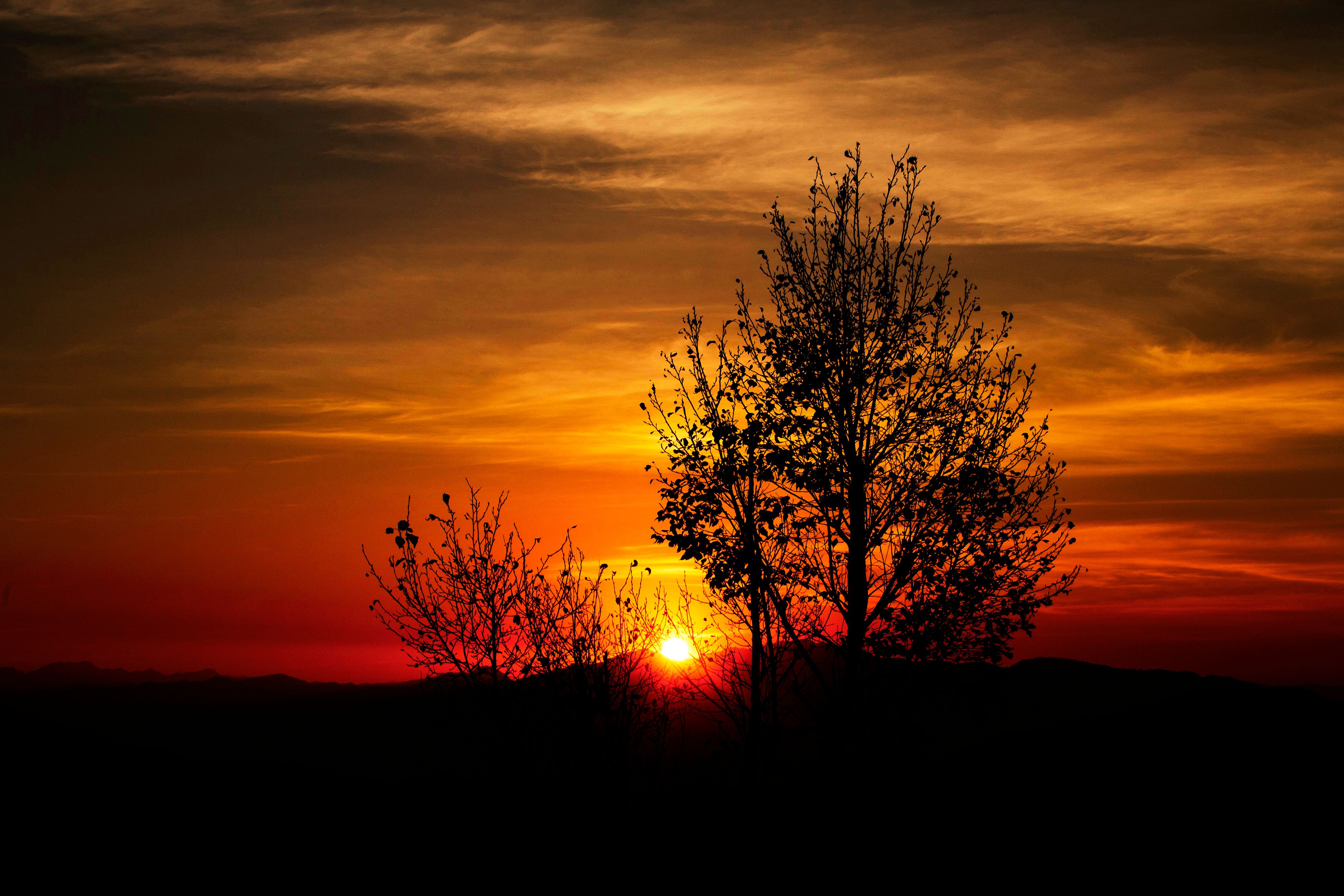 Foto profissional gratuita de alvorecer, amanhecer, ao ar livre