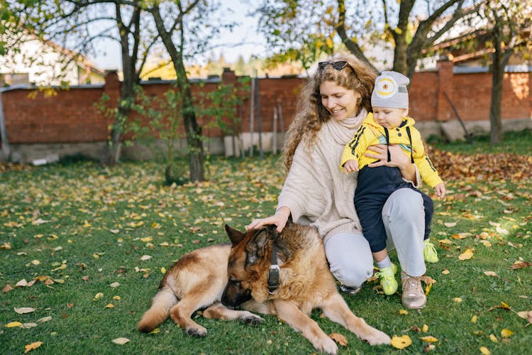 Woman Petting A Dog While Carrying A Baby