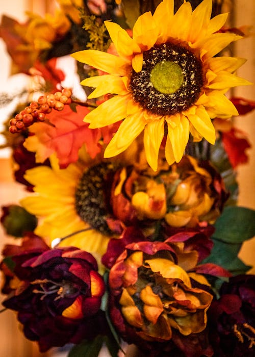 Close Up Shot of Sunflower