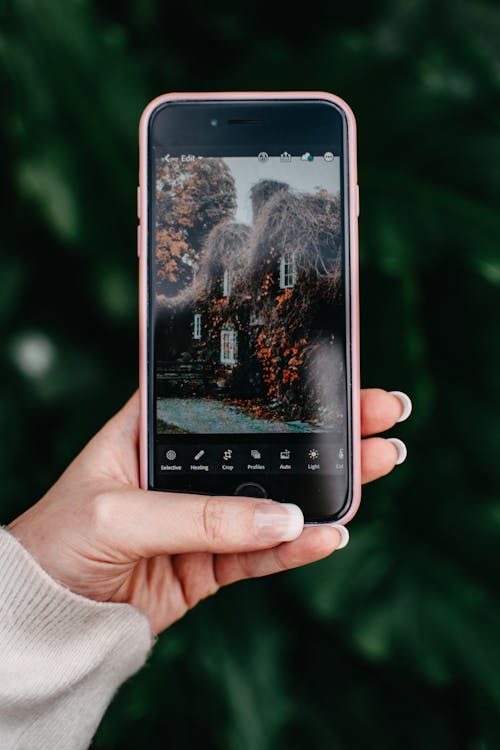 Free Person Holding an Iphone Stock Photo