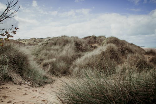 Imagine de stoc gratuită din arid, cer albastru, dună