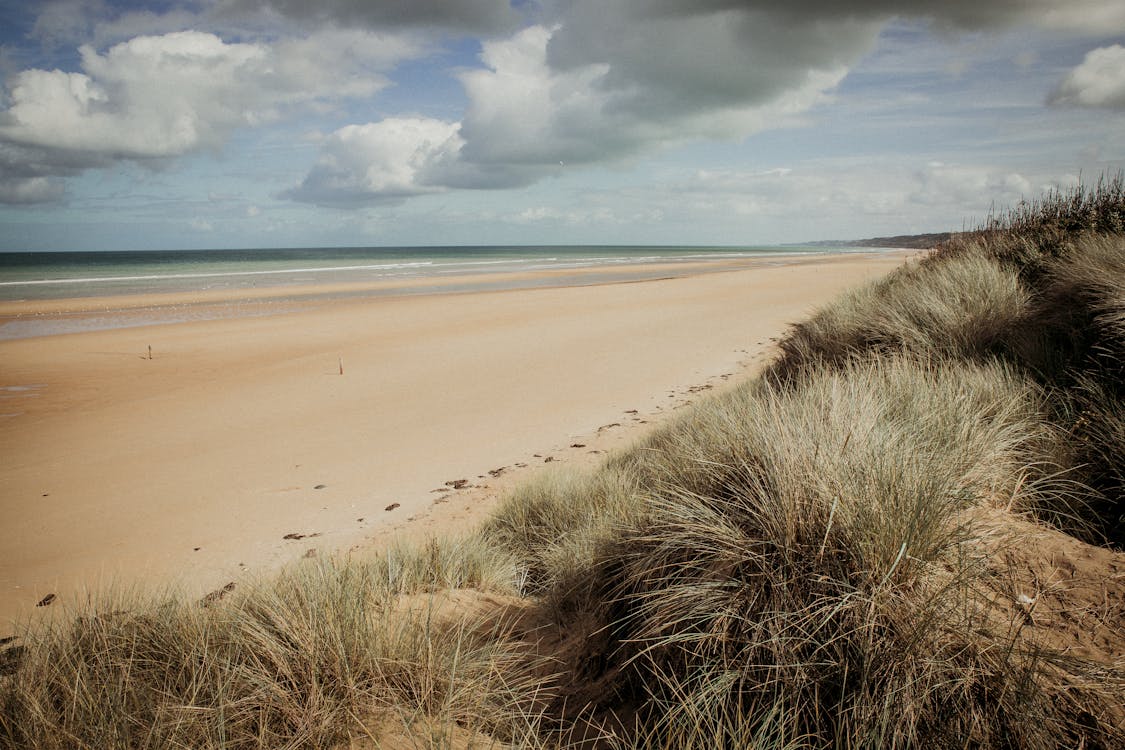 Sandy Beach Under Cloudy Sky