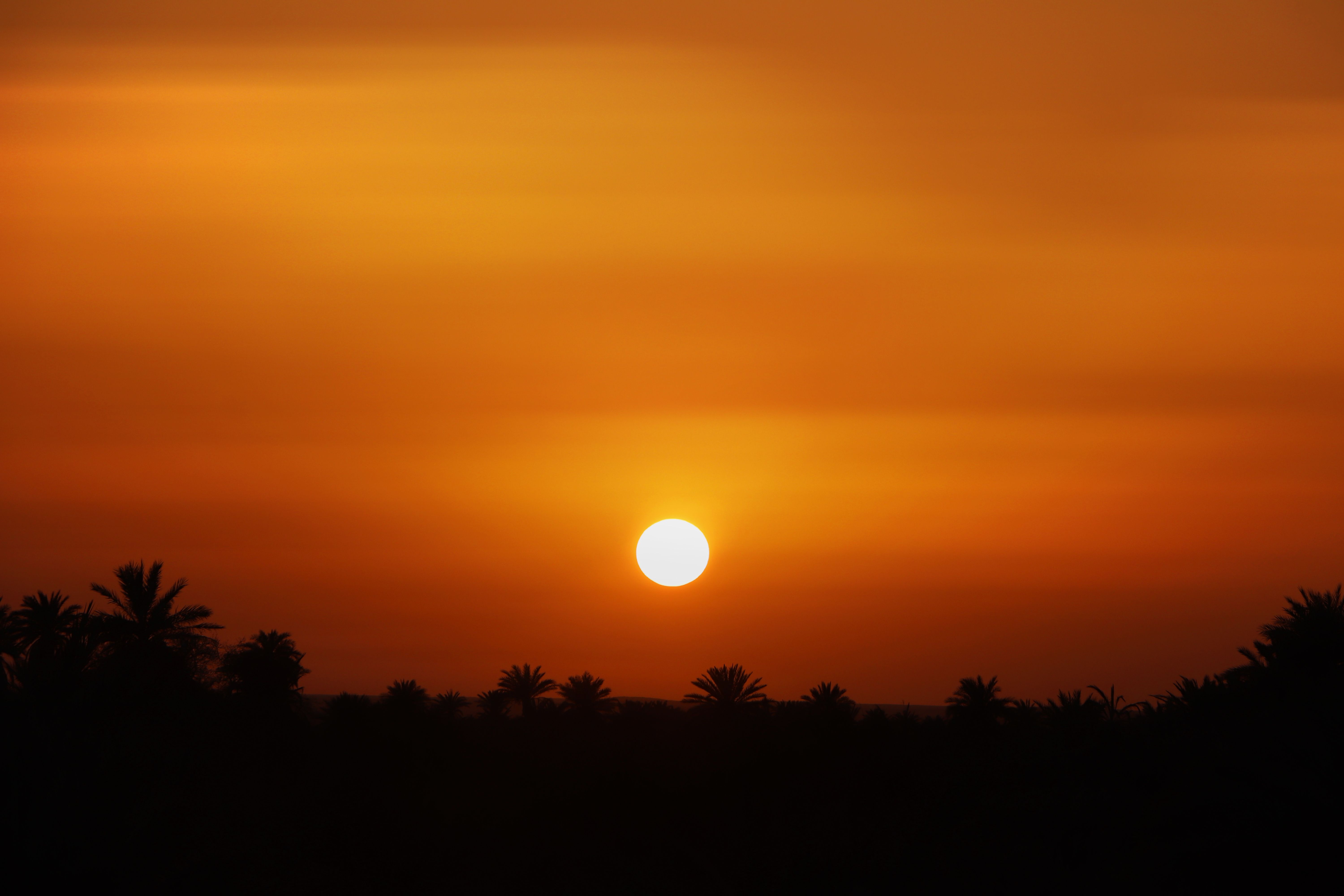 La Palmeraie d'Adrar & the Foggara Channels