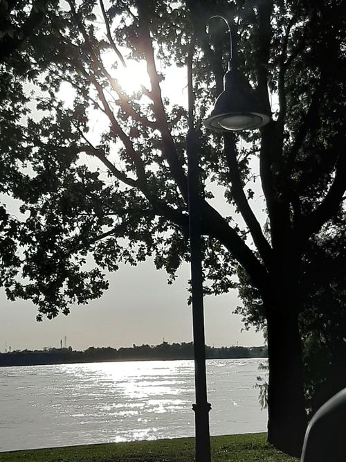 Free stock photo of mississippiriver Stock Photo