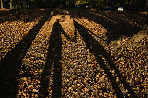 Free Artistic shadows of a couple holding hands on fallen autumn leaves, evoking nostalgia. Stock Photo
