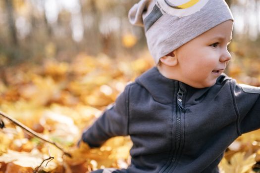 Autumnal Portrait of Baby