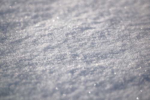 Základová fotografie zdarma na téma detail, led, mráz