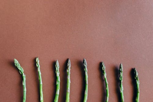 Raw Asparagus on Red Background