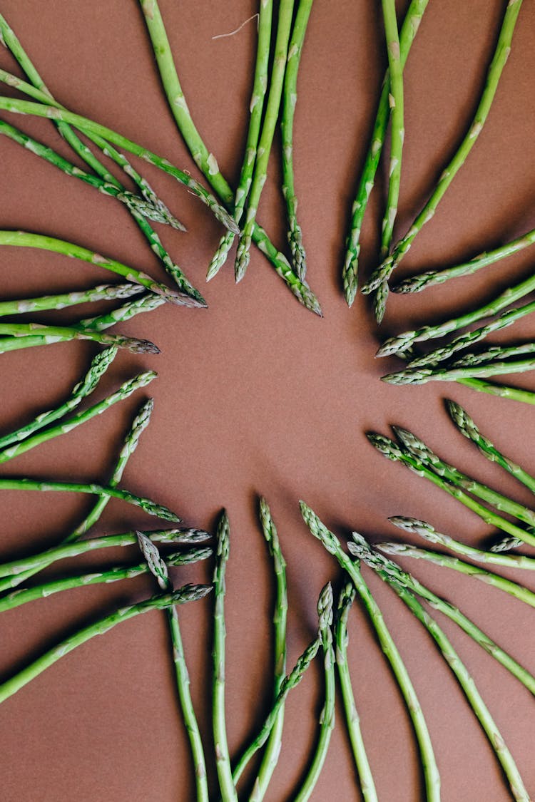 Arranged Asparagus Forming Circle