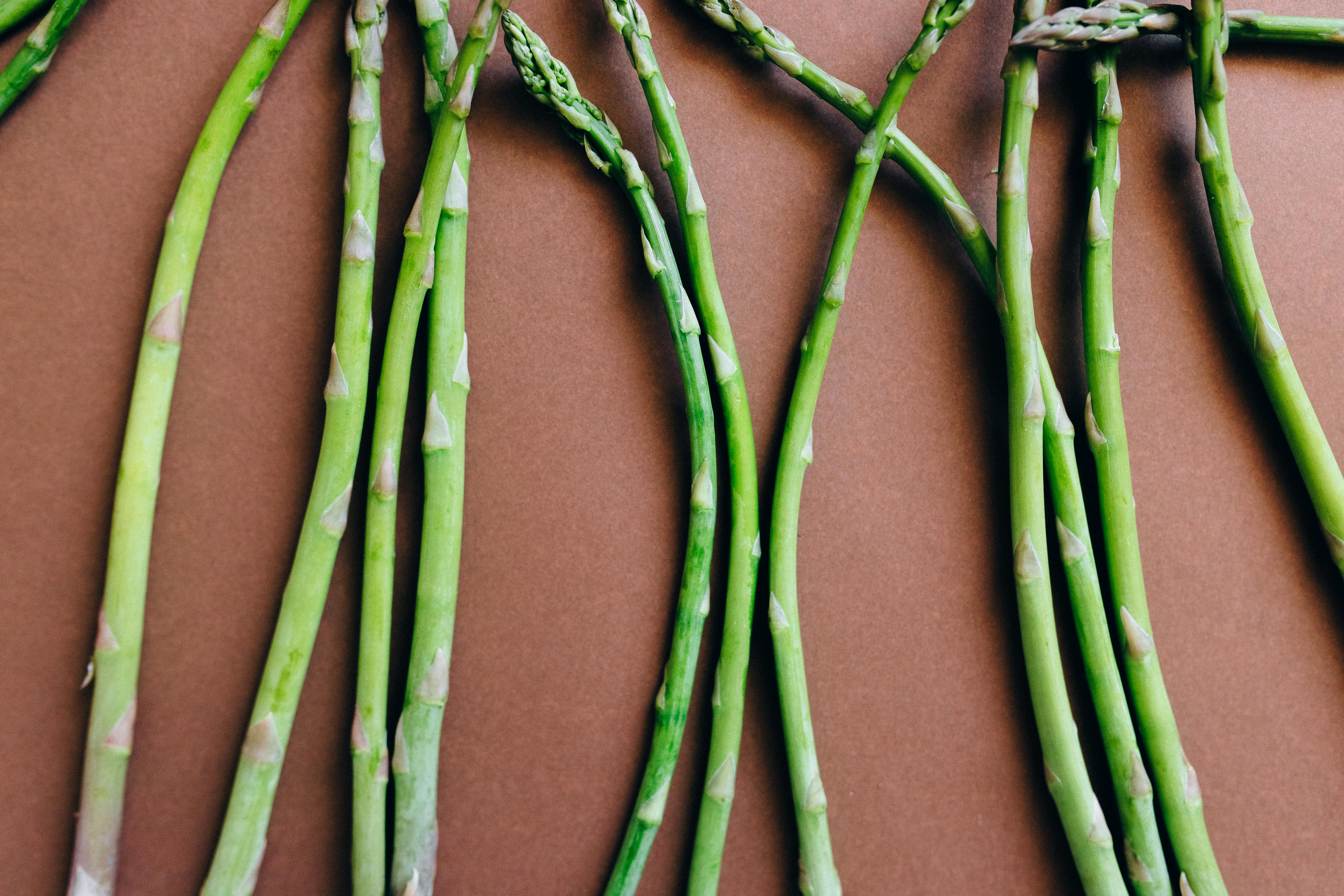 40 Best Spring Recipes (Fresh, Healthy and Easy!) — Photo by Nataliya Vaitkevich on Pexels